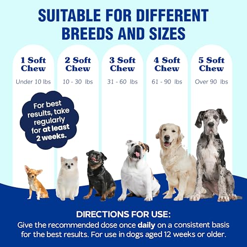 Hemp Calming Chews for Dogs