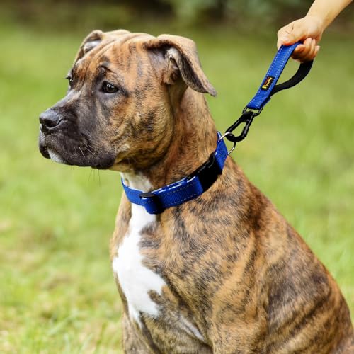 Short Dog Leash with Padded Handle for Medium Large Dogs (Royal Blue / 10 Inch (Pack of 1))