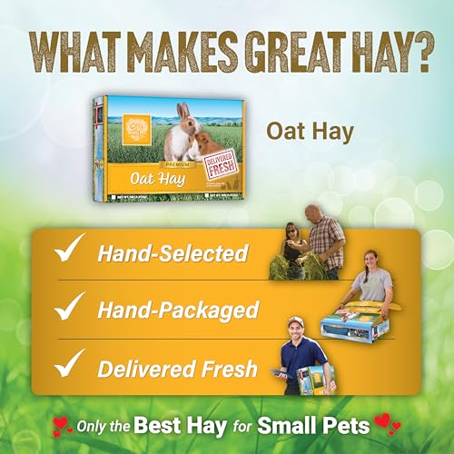 Oat Hay for Rabbits (5 Pound (Pack of 1))