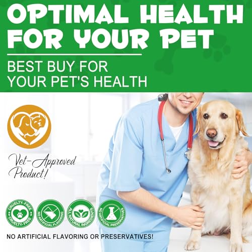Natural Antibiotics for Dogs
