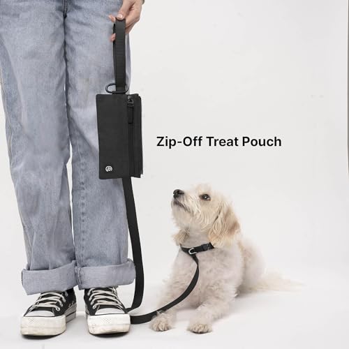 Porter 2-in-1 Dog Gear Travel Backpack - 10 Pockets, Graphite (Graphite)