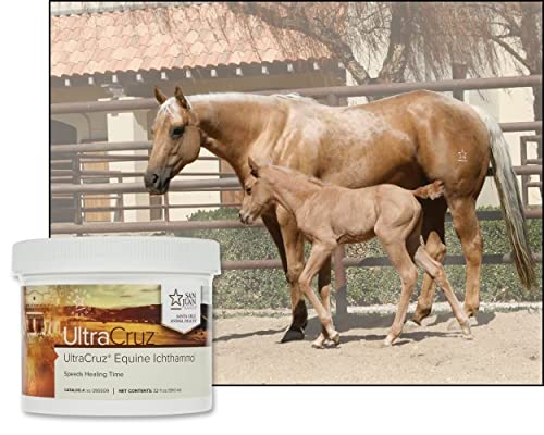 Equine Ichthammol