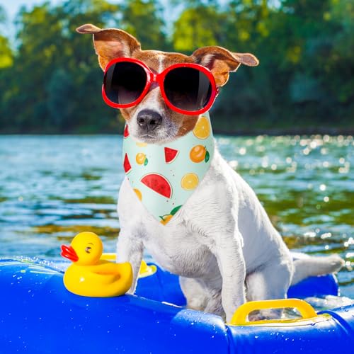 50 Pcs Fruit Dog Bandanas Bulk for Summer Soft Bibs Adjustable Triangle Pet Bandana for Small Medium Large Costume (Fruits Pattern / 25.6 x 17.7 x 17.7 Inch)