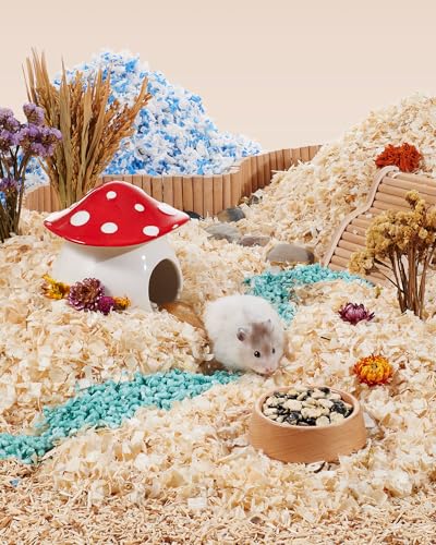 Hamster Snack & Treats Toy