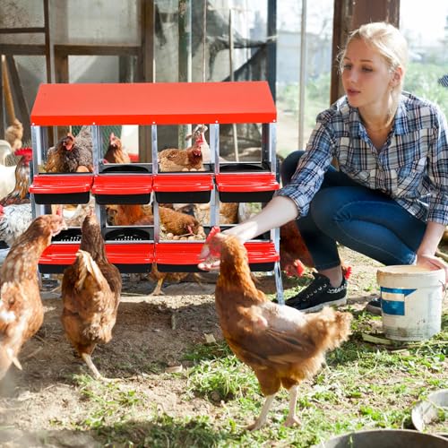 Chicken Nesting Box (Red- 8 compartment with legs)