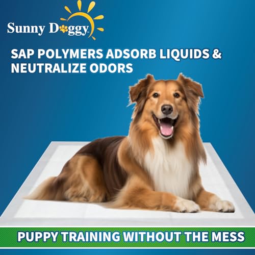 Pee Pads for Dogs (22"x22"/30 Count)