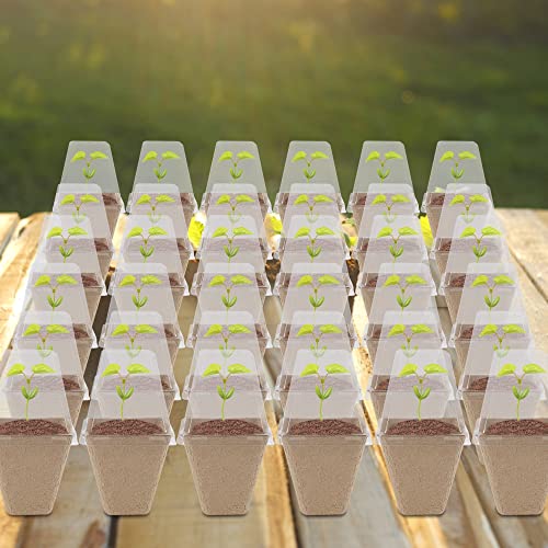 Seed Starter Peat Pots (Square)