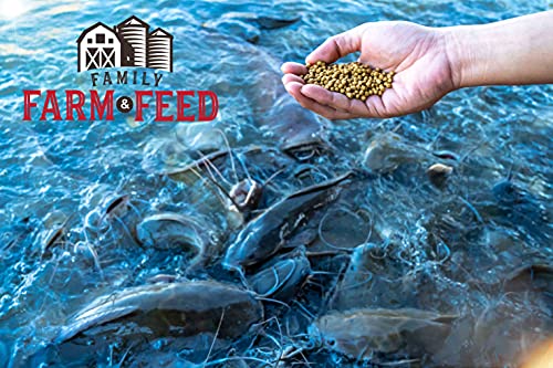 Premium Floating Fish Food