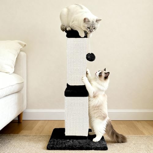Cat Scratching Post for Indoor Cats (Black and White)