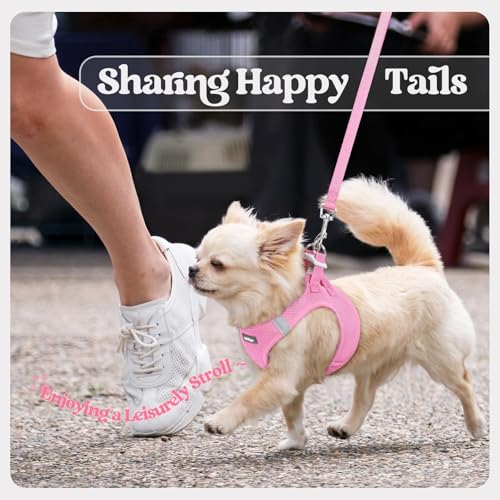 Dog Harness Small Sized and Leash Set (Light Pink / S (chest: 15.1 - 16.5"))