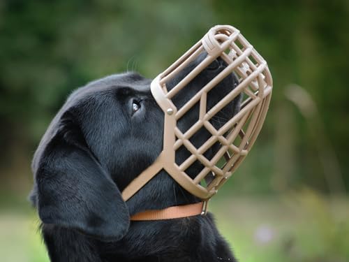 Leather Brothers Italian Basket Dog Muzzle (Size 10 / Tan)