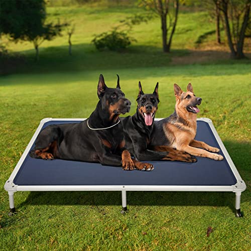 Chew Proof Elevated Dog Bed (Blue / 59.0"L x 37.5"W x 9.0"Th)