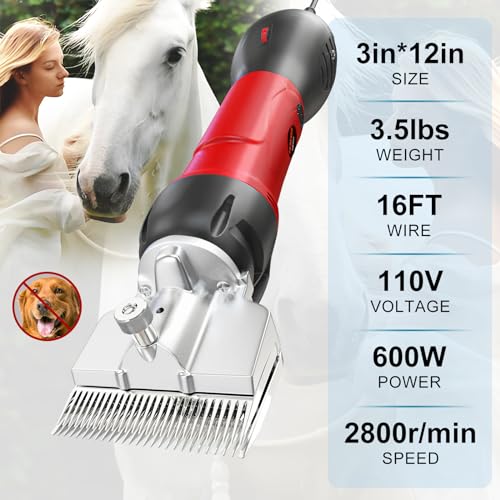 Horse Clippers (HorseClippers)