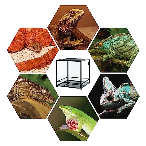 REPTIZOO 60 Gallon Glass Reptile Tank (24" x 24" x 24")