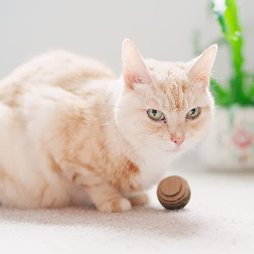Cat Ball Toys by Americat (Round Ball Pack)