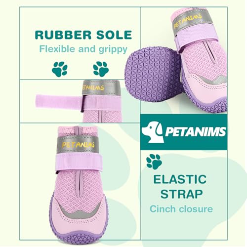 Dog Shoes for Small Dogs (Purple / Width 1.37 inches)