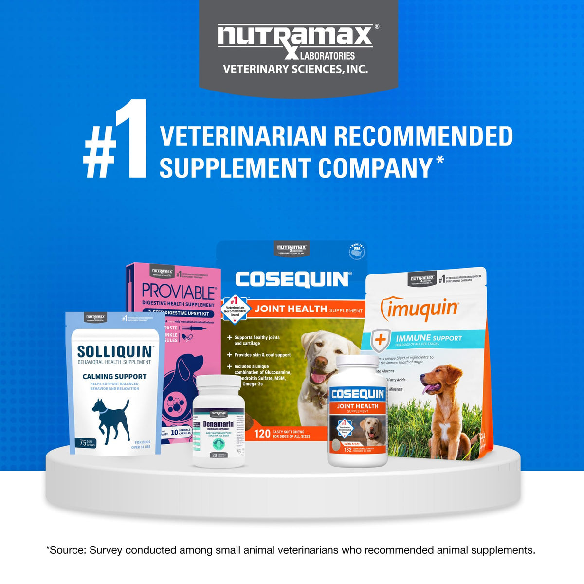 Nutramax Cosequin Joint Supplement for Dogs (250 count / MSM)
