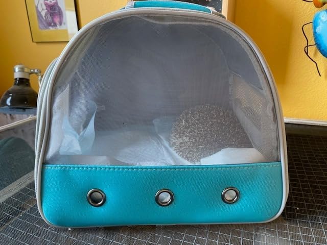 Small Animal Travel Carrier with Absorbent Pad Set (Black)