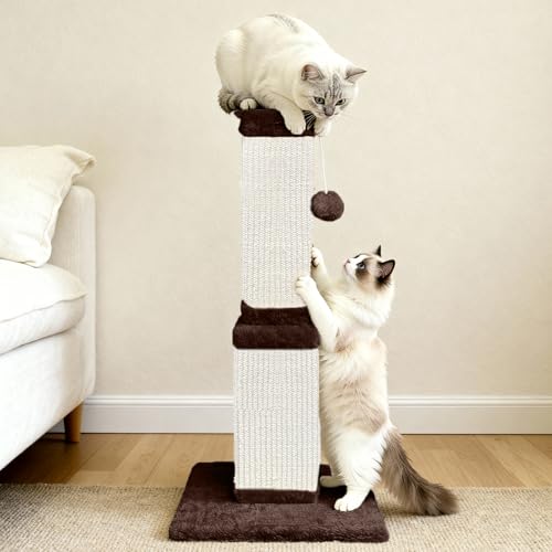 Cat Scratching Post for Indoor Cats (Brown)