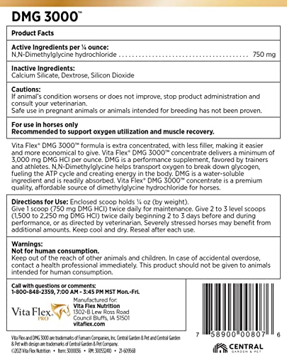 Pro DMG 3000 Horse DMG Concentrate