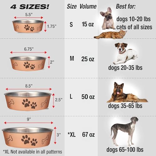 Bella Dog Bowls (Champagne / Small (10-20lbs))