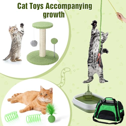 10 Pcs Kitten Starter Kit for Indoor (Classic / Medium / Green)