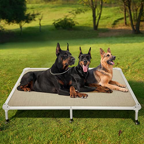 Chew Proof Elevated Dog Bed (Beige Coffee / 59.0"L x 37.5"W x 9.0"Th)