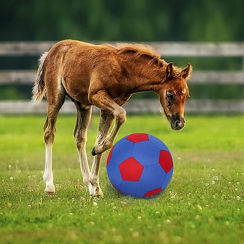 Herding Ball for Dogs Horse Ball & Cover 25" for Horses Large with Hand Pump for Play (Blue and Red / 25 inches)