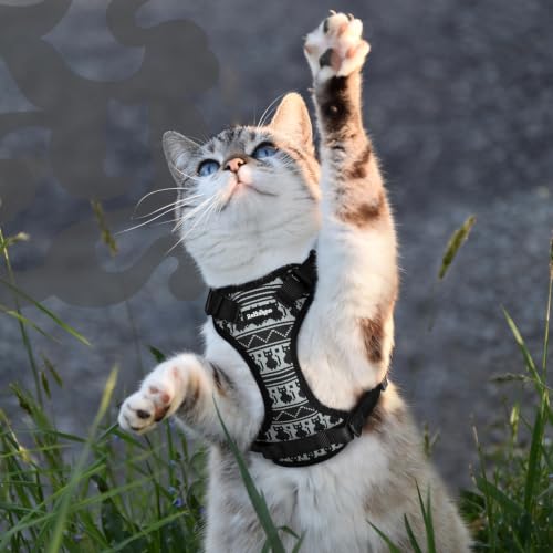 Cat Harness and Leash Set (M / Pixel Tabby)