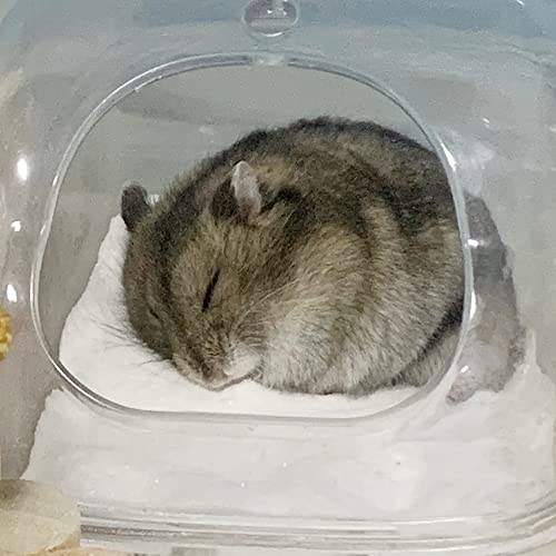 6.6lb Hamster Sand for Sand Bath (White / 6.6lb)
