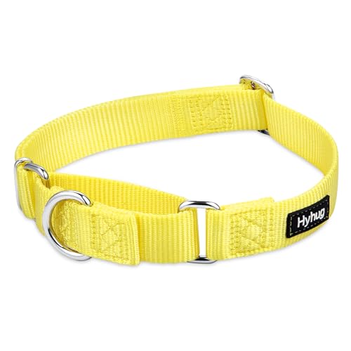 Martingale Collar for Dogs (Large / Illuminating Yellow)