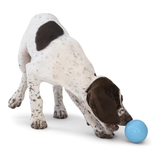 Boundr Ball Dog Fetch Toy (Small (Pack of 2) / Hot Pink/Aqua Blue)