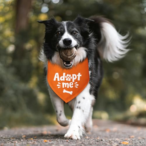 Adopt Me Dog Bandana Adopt Me Bandanas for Dogs Adoption Gotcha Day Adopted Baby Dog Announcement Adopt Me Pets Scarf for Small Medium Dogs & Cats (U)