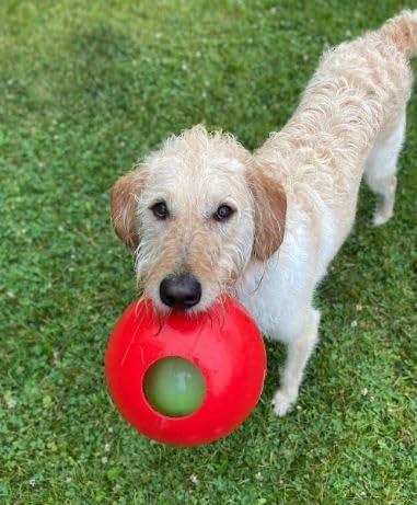 Teaser Ball Interactive Dog Toy (Red / Small (4.5 in))
