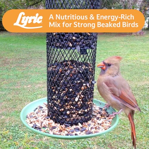 Cardinal Wild Bird Seed for Outside Feeders (3.75 Pound (Pack of 1))