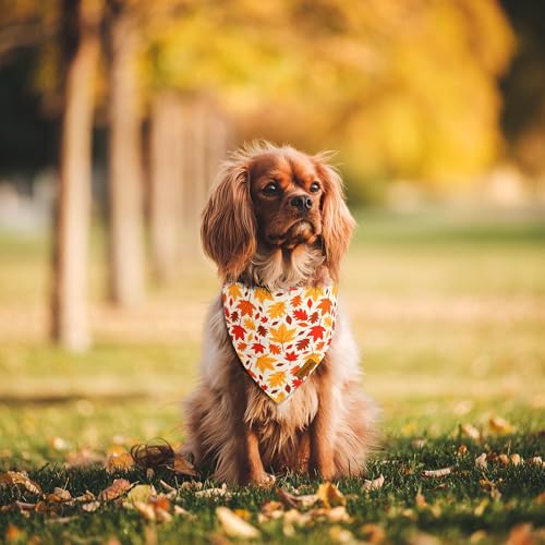 Fall Dog Bandanas (Small / Fall-Black, Yellow)