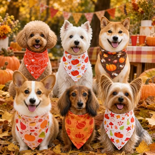 50 Pcs Fall Dog Bandanas Bulk (Fall Pumpkins / 19.7 x 13.8 x 13.8'')
