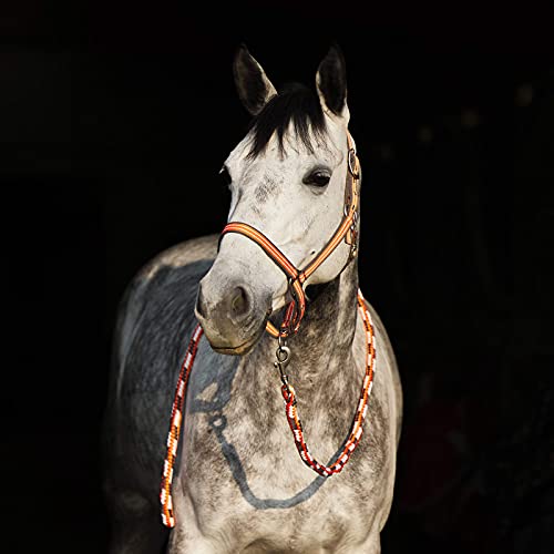 Adepto Adjustable Horse Halter (Coral Gold / Horse)