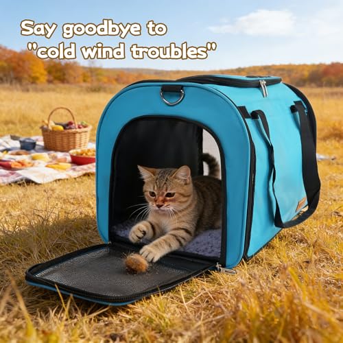 Cat Carrier Backpack (blue)