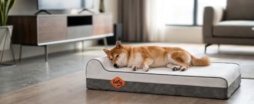 Orthopedic Dog Bed (40.0"L x 25.0"W x 5.5"Th / Dark Grey)