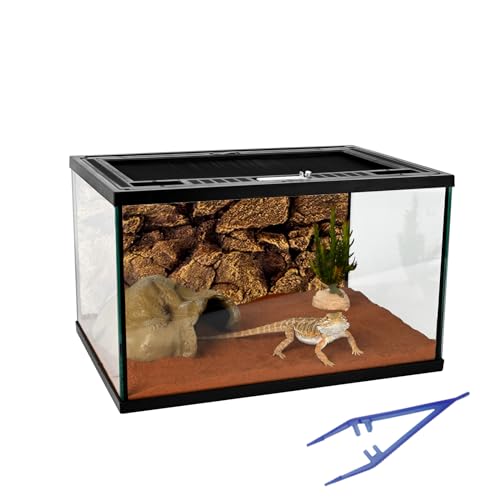 Reptile Glass Tank 16"x11"x9" Terrarium with Top Opening and Screen Ventilation for Leopard Gecko (16*11*9inch)