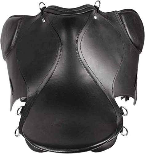 Leather English Riding Horse Saddle Starter Kit for Horse 6 Pcs Riding Gift Set (Size 19)