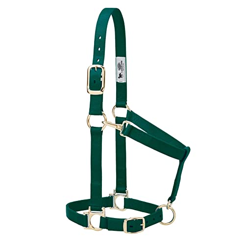 Nylon Horse Halter (Hunter Green / 1" Average Horse)
