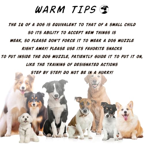 Dog Muzzle Anti Biting Mesh Soft Muzzles for Small Medium Large Dogs (M)