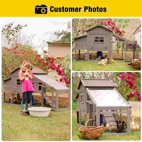 Chicken Coop Mobile Hen Coop