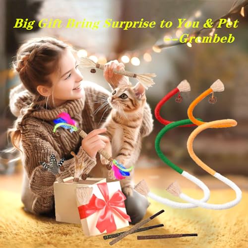 Cat Toys 21PCS Mix Catnip Chew Rope Silvervine Stick for Indoor Cat (MIX-21PACK)