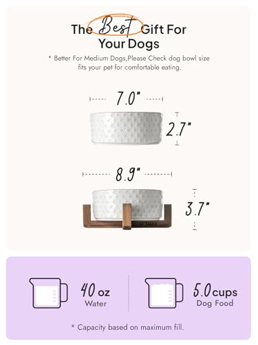 Ceramic Dog Bowls for Large Dogs (Clover / L-5 Cup)