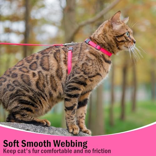 Adjustable Cat Harness and Leash Set Escape Proof Kitten Strap Collar for Walking Travel (Medium / Hot Pink)