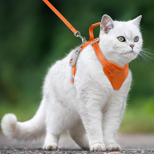 Cat Harness and Leash Set Escape Proof for Kitten Walking (X-Small / Orange)