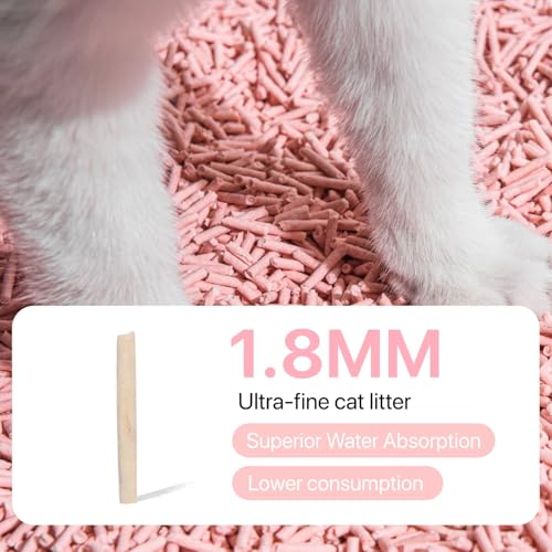 Tofu Cat Litter Gen3 (2 Boxes=22 Lb)